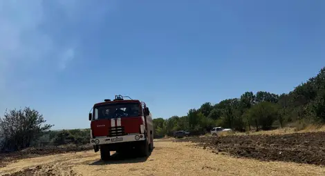 Критичната ситуация с пожара в Николово е овладяна, продължава гасенето в отделни участъци