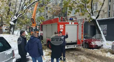 Снимка: БТА Снимка: БТА